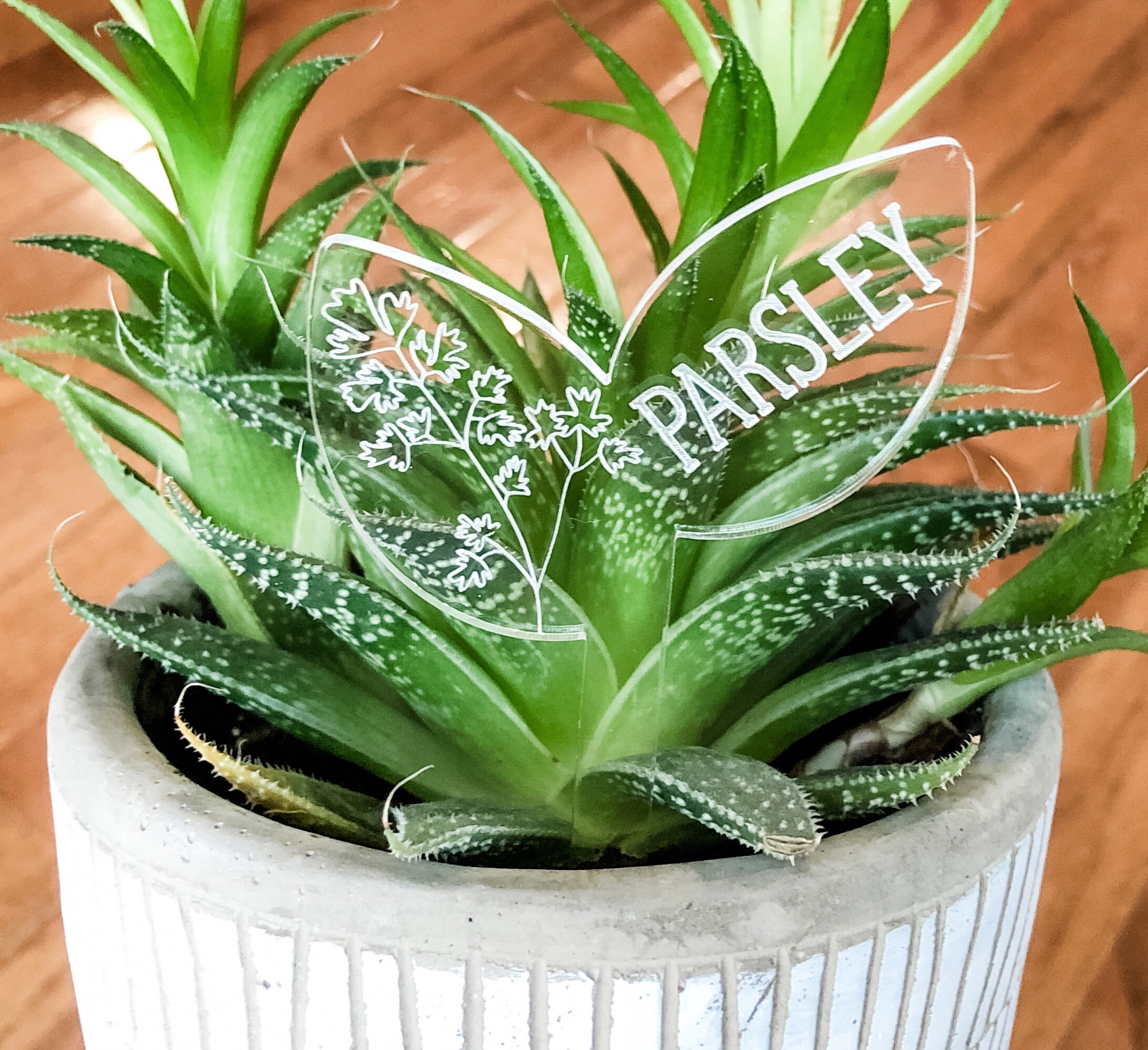 Herb Markers Garden Markers Set of 10 Herb Stakes Gardener | Etsy