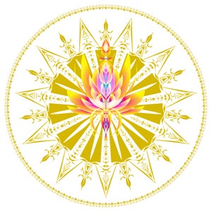 Abundance - Golden Light Codes
