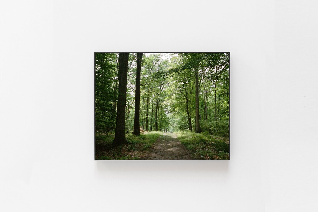 Path to Who Knows Where Photography Print - Etsy