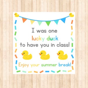 Lucky Duck Summer Break Geschenkanhänger (Digitaler Download)