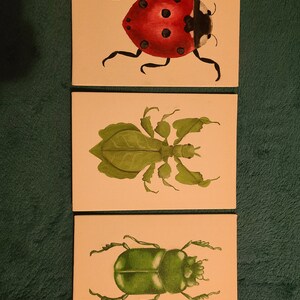 Puede incluir: Tres lienzos con ilustraciones de insectos pintadas. El lienzo superior presenta una mariquita roja con manchas negras. El lienzo del medio presenta un insecto palo verde. El lienzo inferior presenta un escarabajo verde.