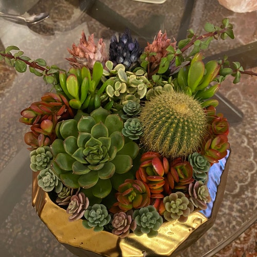 Golden pot shops