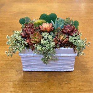 May include: A white rectangular planter filled with a variety of succulents, including green, red, and pink varieties. The planter has a textured surface and is sitting on a wooden surface.