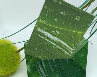 Enveloppe_  NATURE avec sa carte de voeux assortie, enveloppe cadeau, enveloppe remerciements