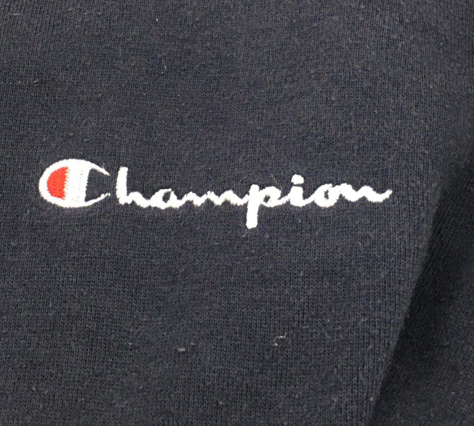 champion rochester 1919 sweatshirt
