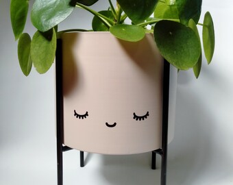 DIY Plant Pot Eyes sticker SET OF 2 cute kawaii indoor outdoor decal garden decor Cut Meowt