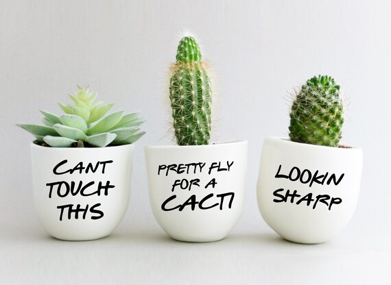 Plant Pot Cactus Puns Decal DIY Succulent Planters Funny | Etsy