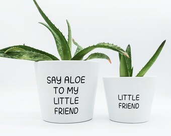 Say Aloe to my little friend Plant Pot sticker succulent decal DIY planter indoor outdoor garden decor