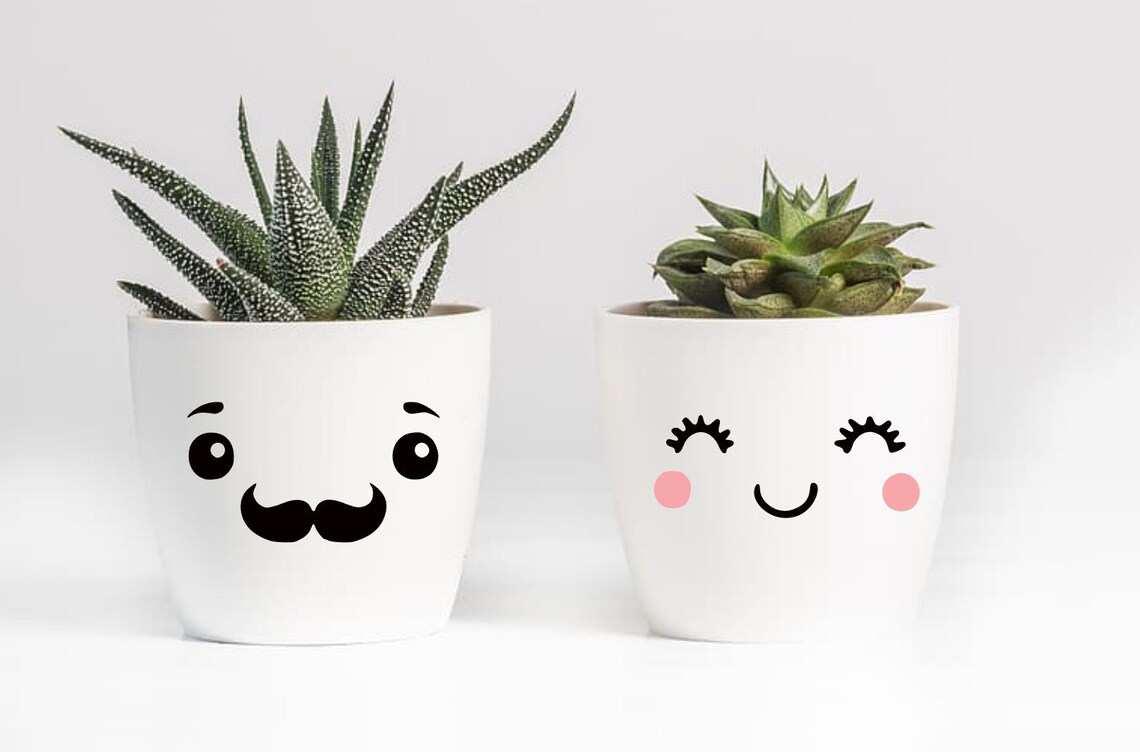 DIY Plant Pot Mr &amp; Mrs sticker SET OF 2 cute kawaii eyes