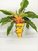 Simpsons plant pot decal sideshow bob cartoon character indoor outdoor sticker garden decor 