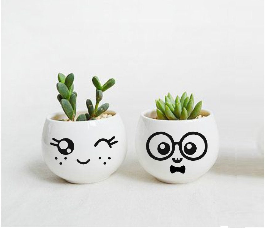 Diy Pot de Plantes Mr Glasses & Miss Freckles Autocollant Set de 2 Mignon Nerd Geek Kawaii Yeux Face