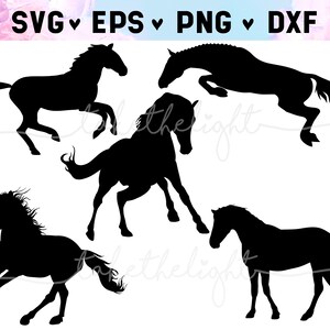 Horse Heart Horses svg jpg dxf png Clipart, Running Horse SVG files