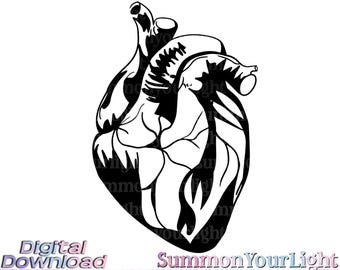 Anatomical Heart SVG PNG, Realistic Human Heart Clipart, Goth Valentine Design, Medical Student Gift, Cardiology Art, Dark Academia