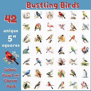 Op de afbeelding: Een set van 42 unieke vierkante stoffen panelen of bedels van 12,7 cm met aquarel illustraties van verschillende vogels. De set bevat een verscheidenheid aan vogelsoorten, kleuren en poses, waaronder een rood kardinaal, een blauwe gaaien, een groene papegaai en een witte zwaan.