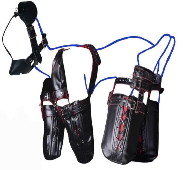 flaxta goggles Evoke Display Type:Art Bin / Poster Bin Specialized Crux Gravel Bikes Size:XXL-3XL