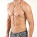 see more listings in the -MENS HARNESSES- section