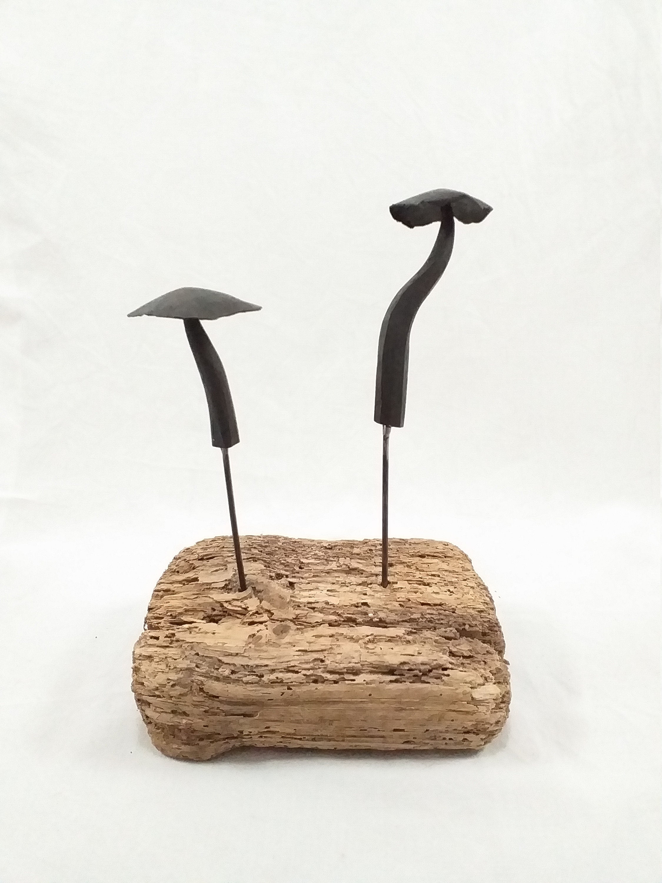 Champignons Fer Forgé