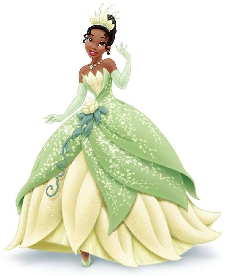 Buy Tiana Dress & Accessories, Tiana Dress, Princess and the Frog, Princess  Tiana Costume, Princess Tiana PERSONALIZED GIFT SET Online in India 