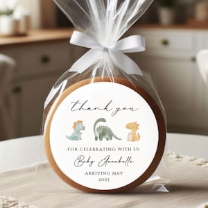 Dinosaur Baby Shower Stickers ~ Dinosaur Favors Baby ~ Baby Shower Favor Label ~ Baby Dinosaur Baby Shower Favor Labels ~