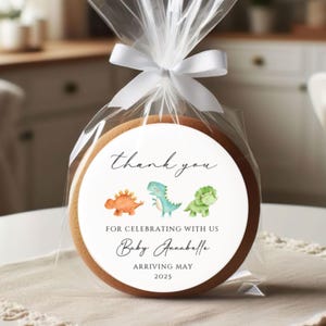 Dinosaur Baby Shower Stickers ~ Dinosaur Favors Baby ~ Baby Shower Favor Label ~ Baby Dinosaur Baby Shower Favor Labels ~