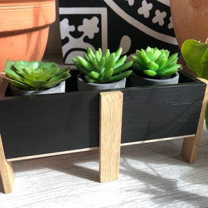 Blumentopf aus Holz. Pflanzenhalter aus Holz für Kakteen und Sukkulenten.