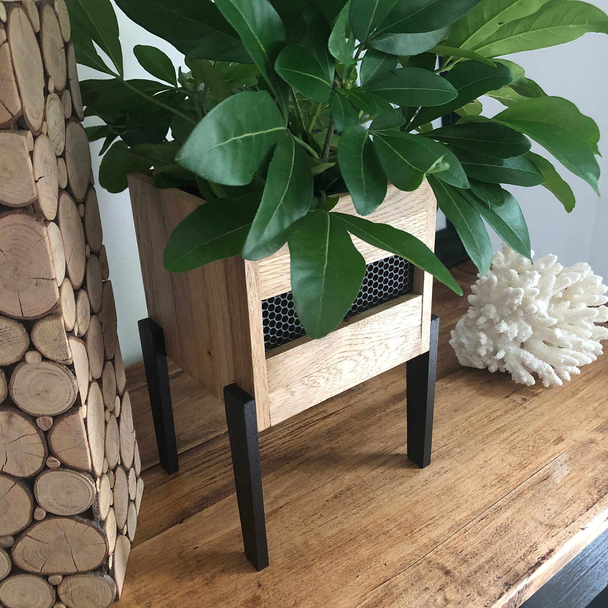 Holzbeine topf - Etsy.de