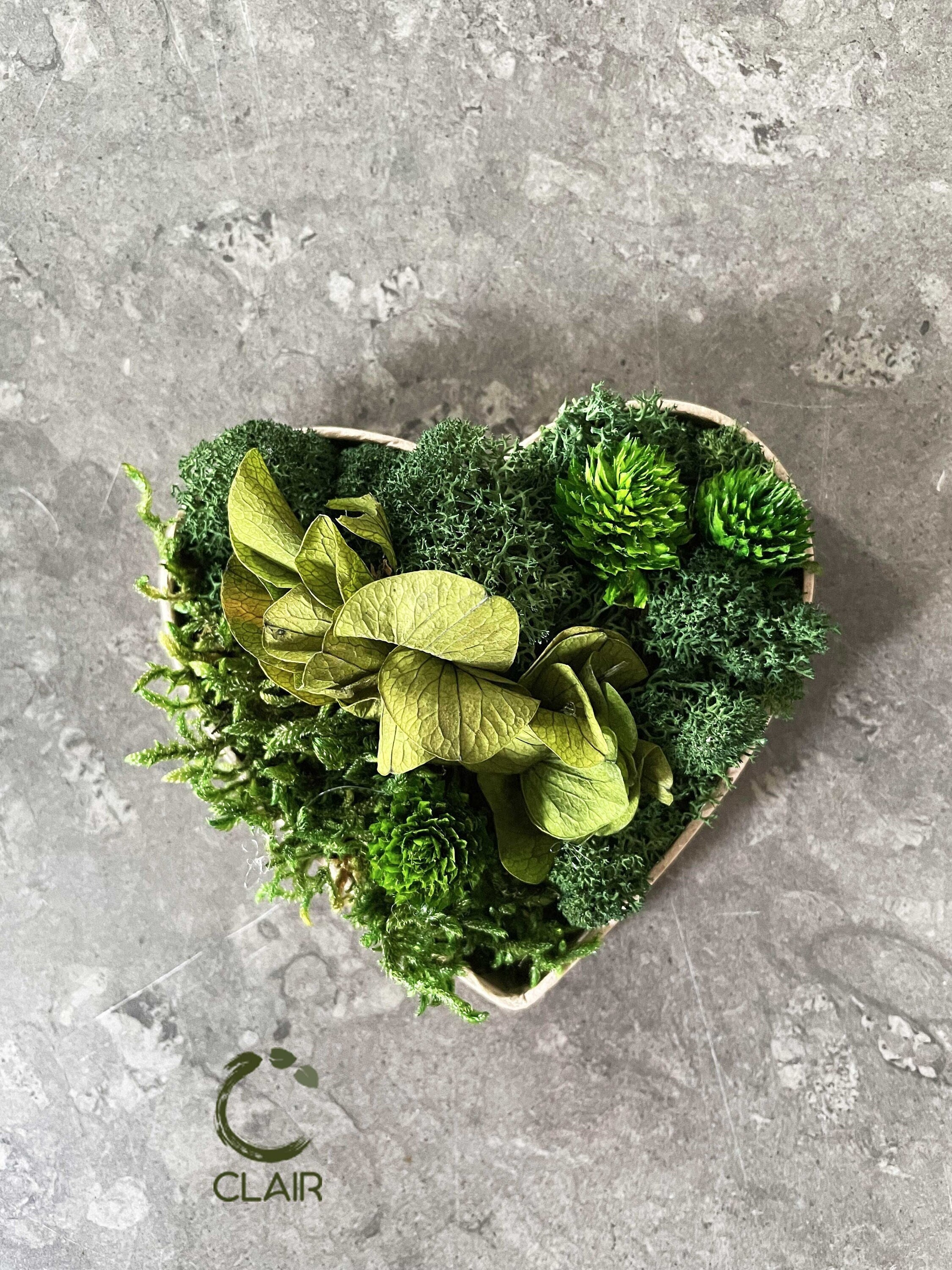 Cœur Végétal Aimant Le S'invite sur Tous Les Supports Métallique...