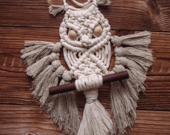 Macrame owl two colors