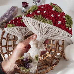 Macrame mossy mushlings| mushroom art| Macrame decor | Cottagecore