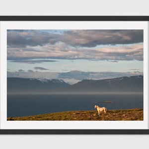 Cavallo bianco islandese, natura islandese, decorazione murale, stampa d'arte, Giclée, regalo paesaggio islandese, paesaggio scandinavo