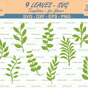 Leaf svg, leaves svg, Cut Files, Tropical leaves, rolled flower svg, Cricut, DIY leaves, Leaves Cutting Svg, cameo, digital paper Svg
