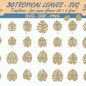 SVG Tropical Leaves, 30, For Paper Flower, Leaves Templates, Diy Tropical Leaves, Template, for Cricut, DIY leaves, Leaves Cutting Svg