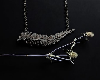May include: A silver fern pendant necklace on a black background with a dried flower sprig.