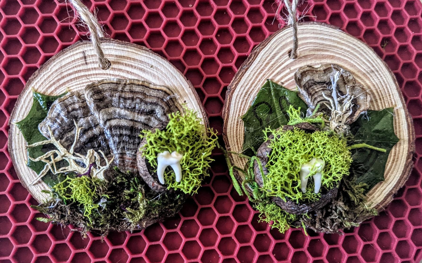Yule/Winter Solstice Ornaments: Raccoon Teeth | Etsy