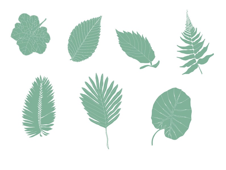Brushes For iPad Set Of 15 Leaves Stamp Brushes For Procreate Tree Leaves Stamps for Illustration and Graphic Design