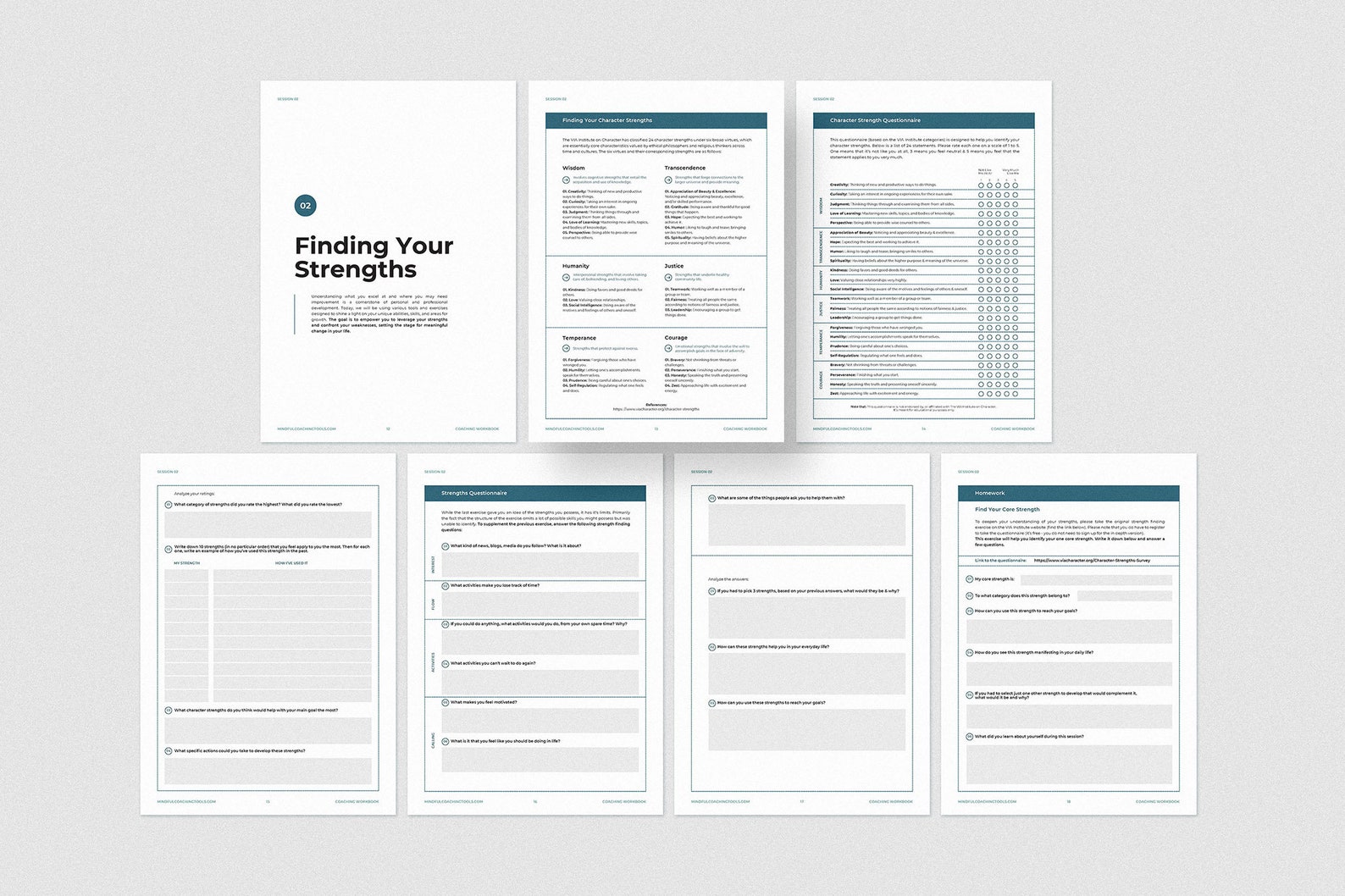 6 Session Coaching Workbook - Etsy