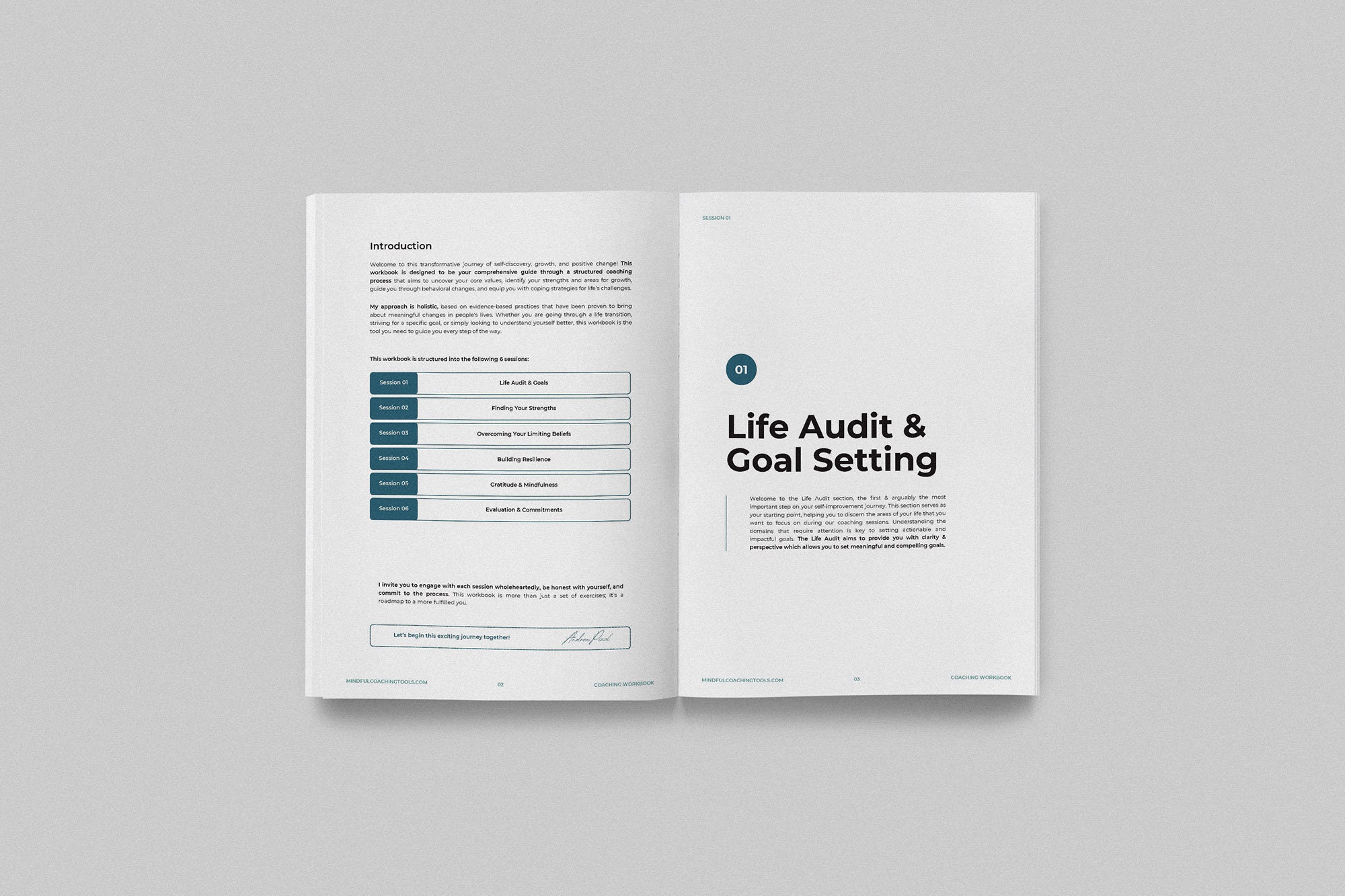 6 Session Coaching Workbook - Etsy