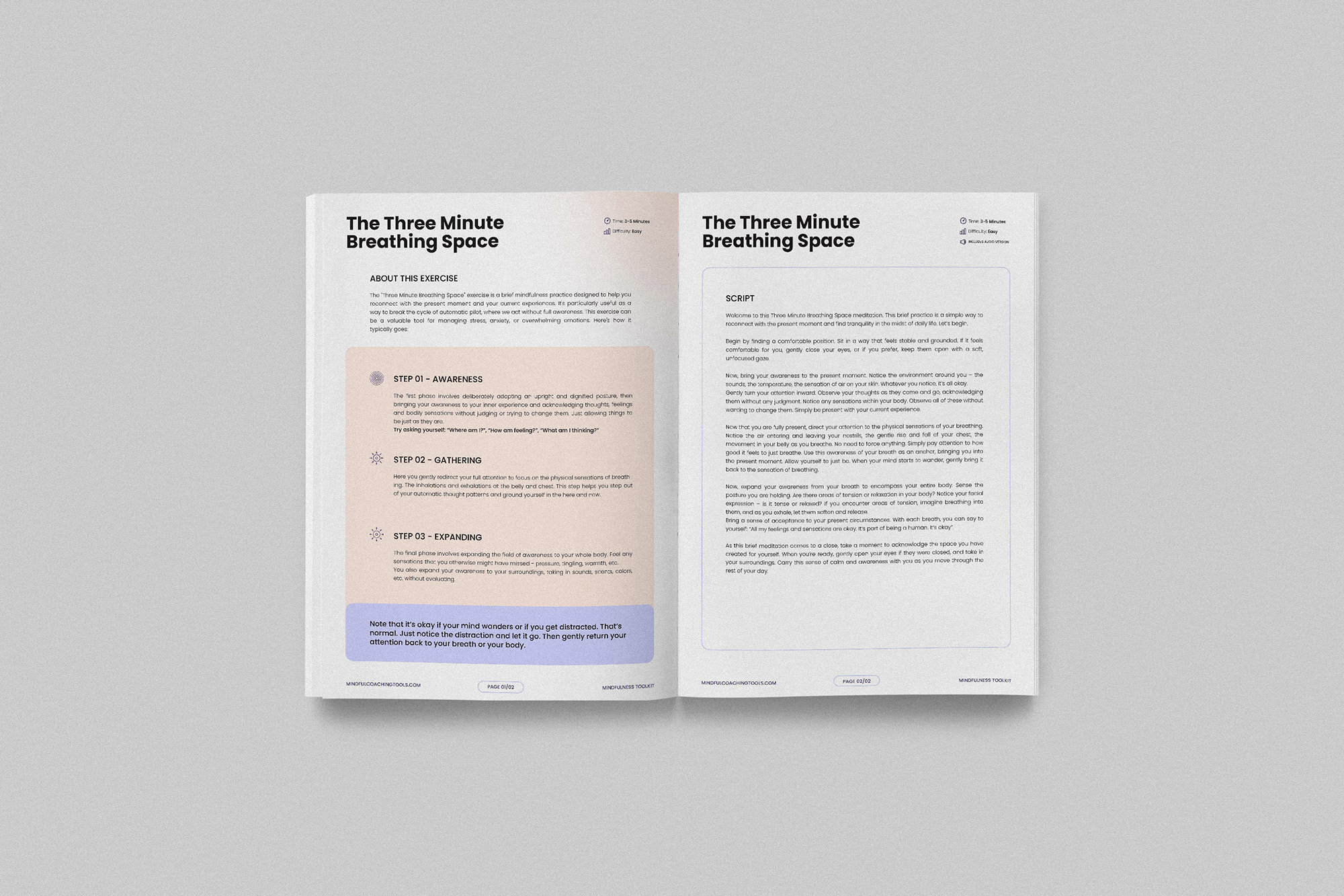Mindfulness Worksheet Bundle - Editable Coaching Tools and Exercises ...