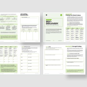 Job Crafting Workbook / Editable Coaching Tools for Career Coaches ...
