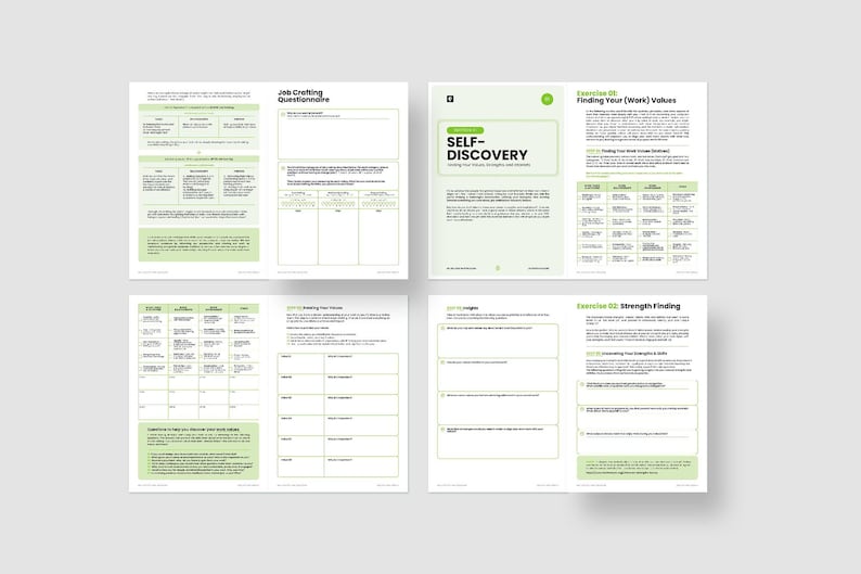 Job Crafting Workbook / Editable Coaching Tools for Career Coaches ...
