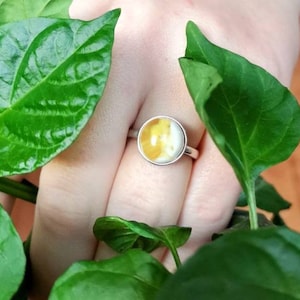 Amber Silver 925 ring | Natural Baltic Amber Ring | Yellow Egg Amber | Royal Amber Ring | Amber cabashon ring