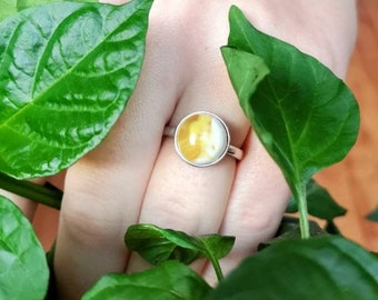 Amber Silver 925 ring | Natural Baltic Amber Ring | Yellow Egg Amber | Royal Amber Ring | Amber cabashon ring