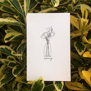 Carte spring.