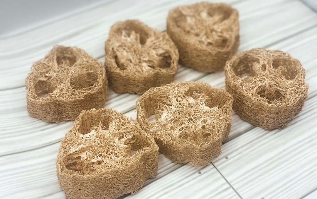 Banana Flavored Loofahs Bunny Loofah Chew Small Pet Chew Etsy