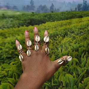 May include: A hand adorned with multiple gold rings, each set with a white and tan seashell. The rings are worn on the fingers, presented against a background of green fields and a distant, hazy landscape.