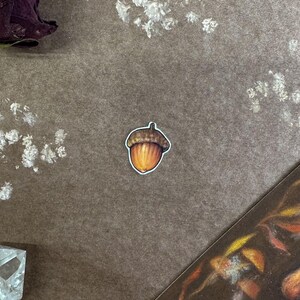 Sticker Acorn - Illustration Artisanale pour Carnet