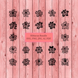 Detailed Hibiscus flower svg bundle.