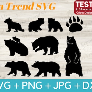 Bear SVG PNG JPG cut files