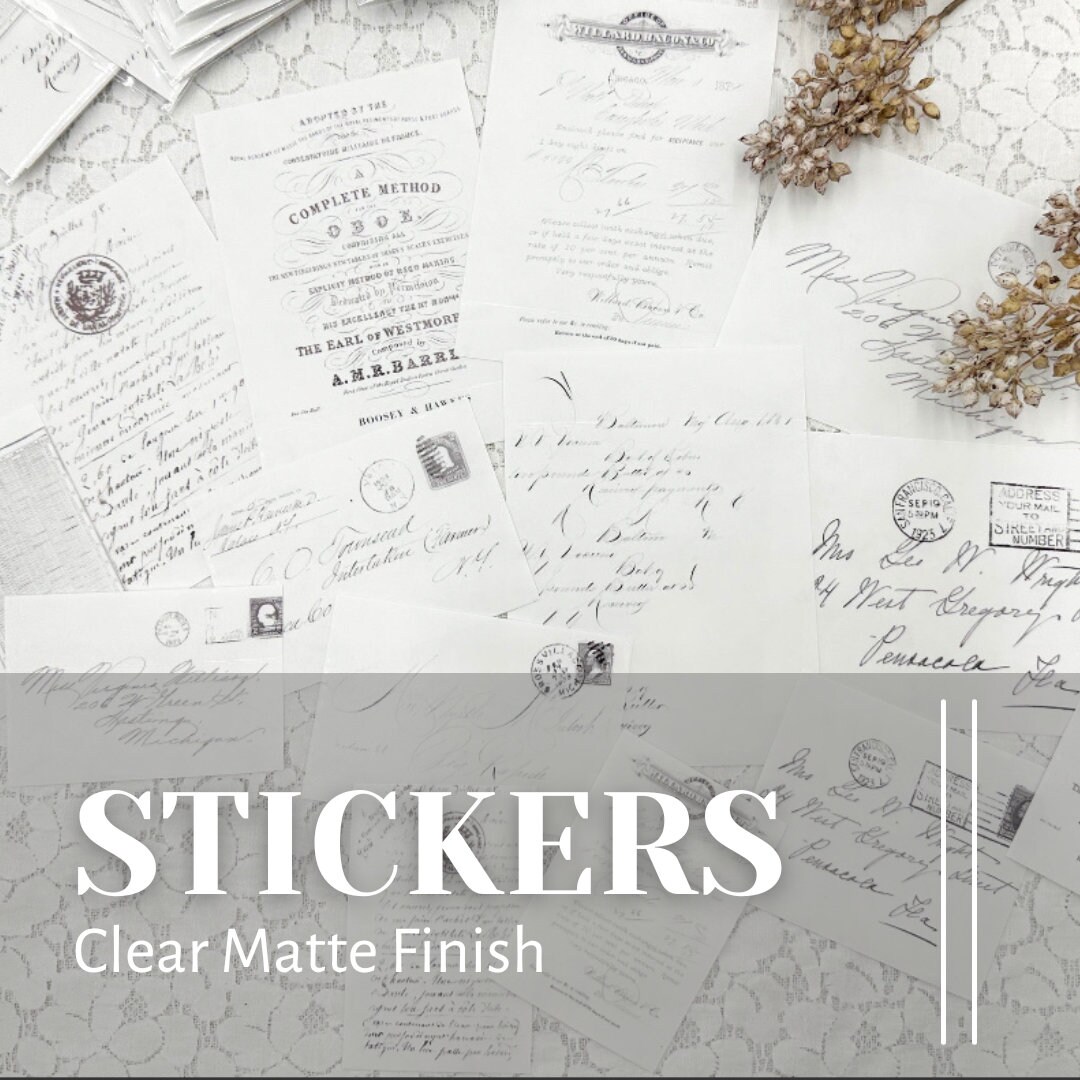 Duplicates Companions Clear Stickers Paper Stickers Matte 