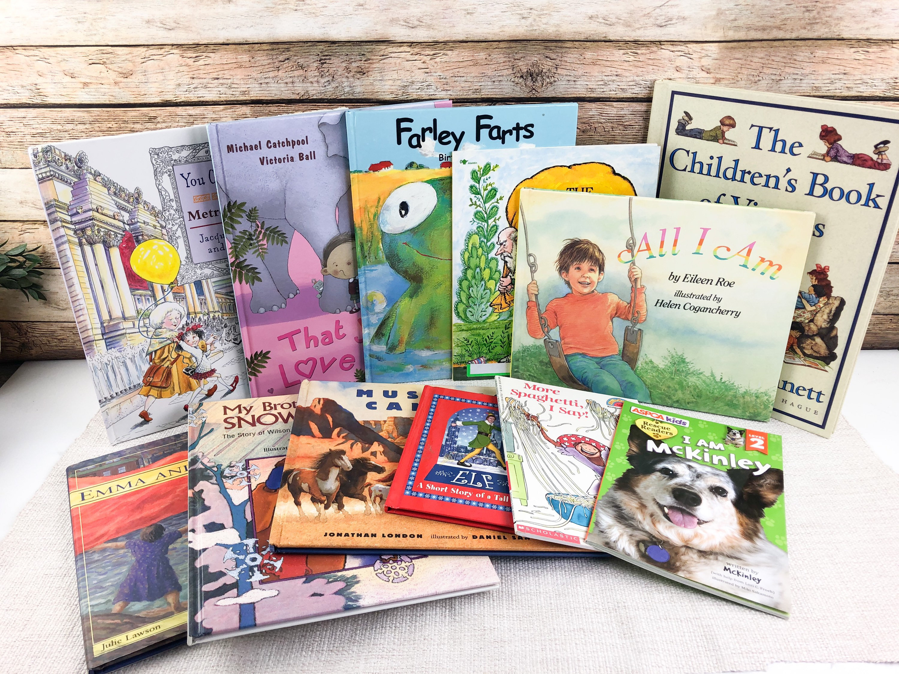 Book Gift Box / Set of 12 Children's Books / Books for Etsy